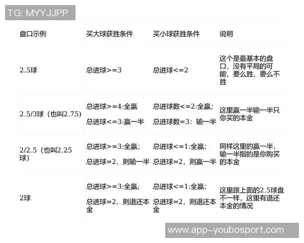 如何解读足球盘口的奥秘与技巧提升投注成功率